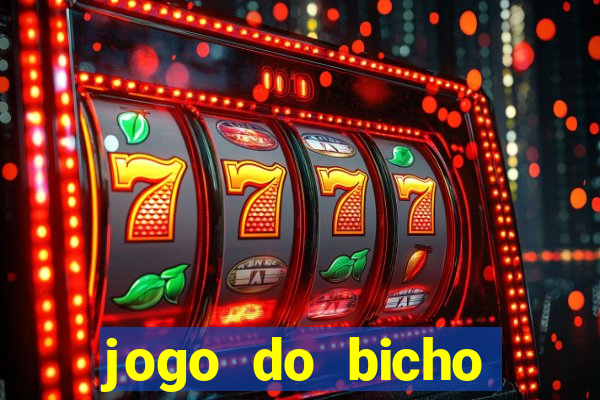 jogo do bicho crash bingo